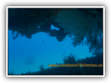 Black_island_wreck_Part_2