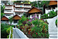 The Garden