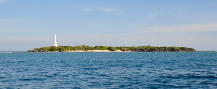 Apo Island